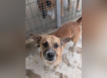 Storm - klein und sanft