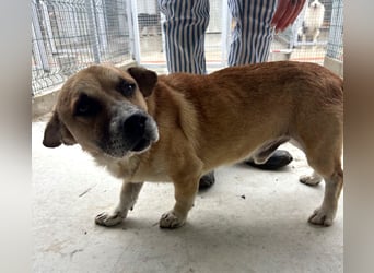 Storm - klein und sanft