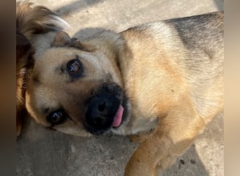 Mia - Schmusebacke ❤️