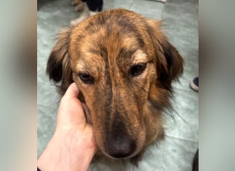 Lola - fröhliches Rollimädchen