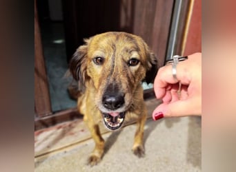 Lola - fröhliches Rollimädchen