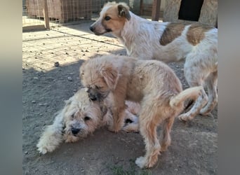 Kymana - einfach lieb!