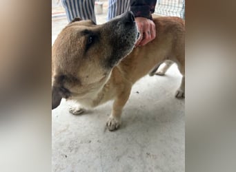 Storm - klein und sanft