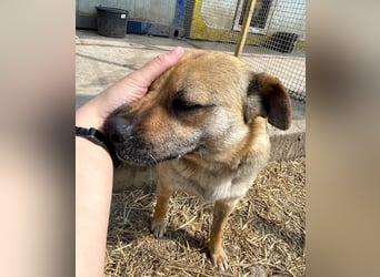 Mia - Schmusebacke ❤️