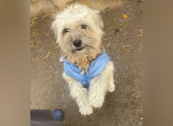 Kymana - einfach lieb!