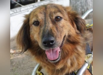 Lola - fröhliches Rollimädchen