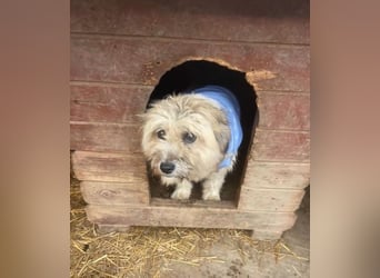 Kymana - einfach lieb!