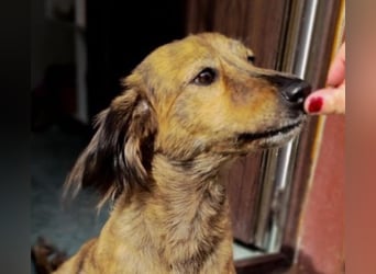 Lola - fröhliches Rollimädchen