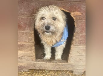 Kymana - einfach lieb!