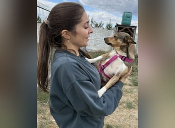 Kaylie - kleine, fürsorgliche Mama sucht ruhiges Zuhause
