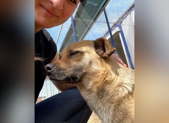 Mia - Schmusebacke ❤️