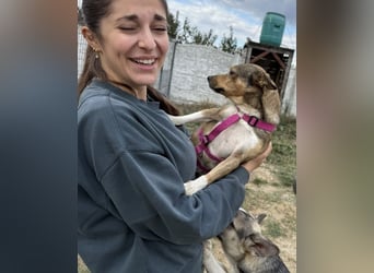Kaylie - kleine, fürsorgliche Mama sucht ruhiges Zuhause