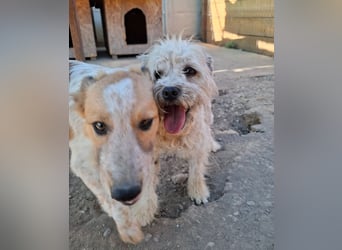 Kymana - einfach lieb!