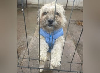 Kymana - einfach lieb!