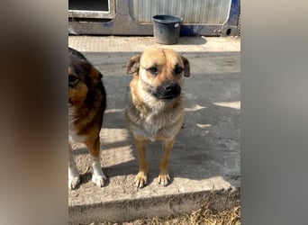 Mia - Schmusebacke ❤️