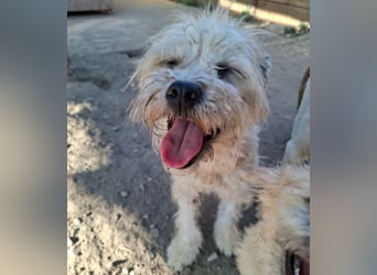 Kymana - einfach lieb!