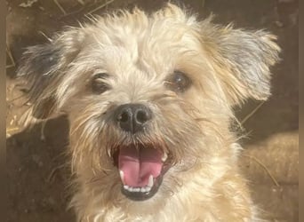 Kymana - einfach lieb!