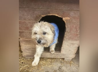 Kymana - einfach lieb!