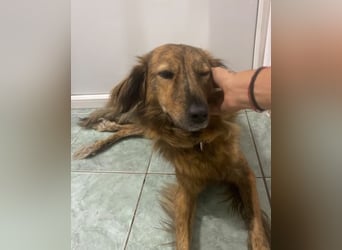 Lola - fröhliches Rollimädchen