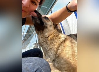 Mia - Schmusebacke ❤️