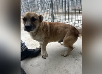 Storm - klein und sanft