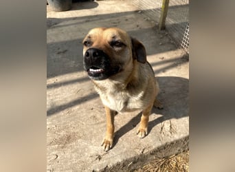 Mia - Schmusebacke ❤️