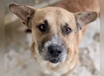 Storm - klein und sanft