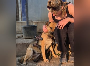 Mia - Schmusebacke ❤️