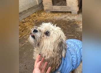 Kymana - einfach lieb!