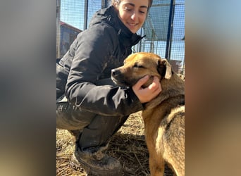 Mia - Schmusebacke ❤️