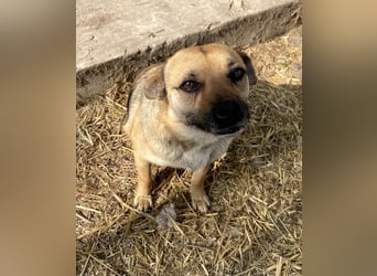 Mia - Schmusebacke ❤️