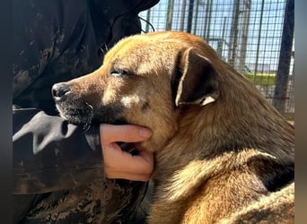 Mia - Schmusebacke ❤️