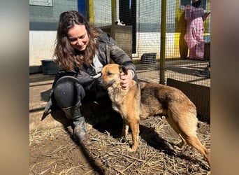 Mia - Schmusebacke ❤️