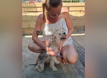 Kymana - einfach lieb!