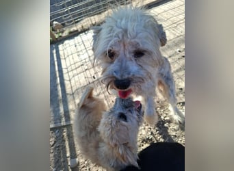 Kymana - einfach lieb!