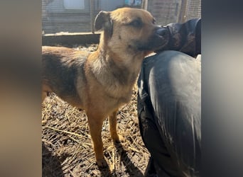 Mia - Schmusebacke ❤️