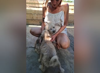 Kymana - einfach lieb!