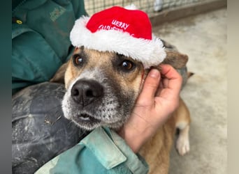 Storm - klein und sanft