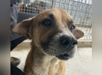 Storm - klein und sanft