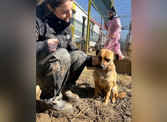 Mia - Schmusebacke ❤️