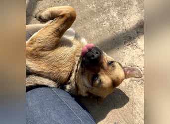 Mia - Schmusebacke ❤️