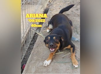 Ariana - kleiner Sonnenschein