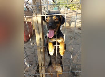 Ariana - kleiner Sonnenschein