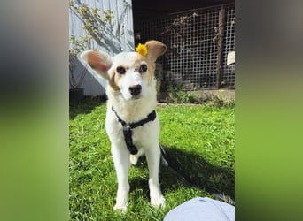 Mia sucht ihr Traumzuhause