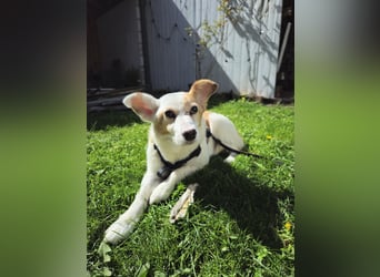 Mia sucht ihr Traumzuhause