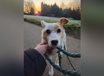 Mia sucht ihr Traumzuhause