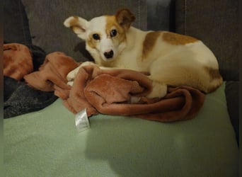 Mia sucht ihr Traumzuhause