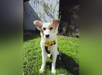 Mia sucht ihr Traumzuhause