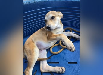 Lalita: spielen, kuscheln, die Welt entdecken