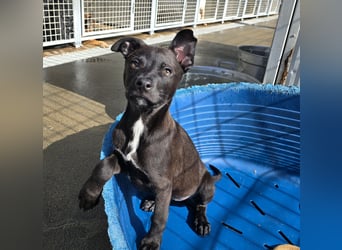 Lalita: spielen, kuscheln, die Welt entdecken